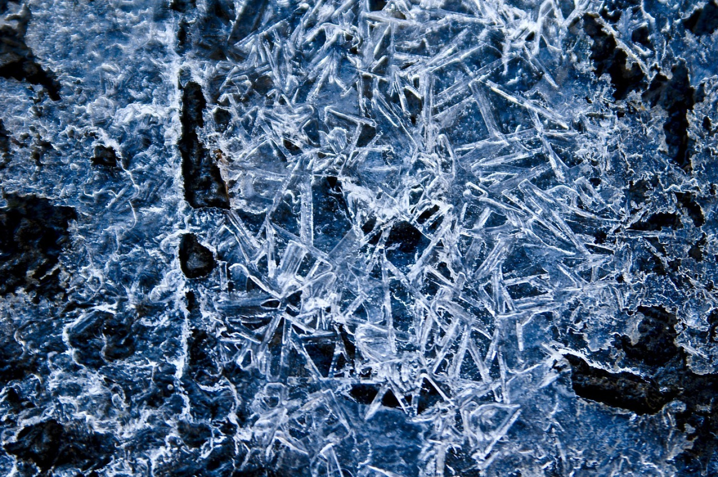 frost-2437029_1280