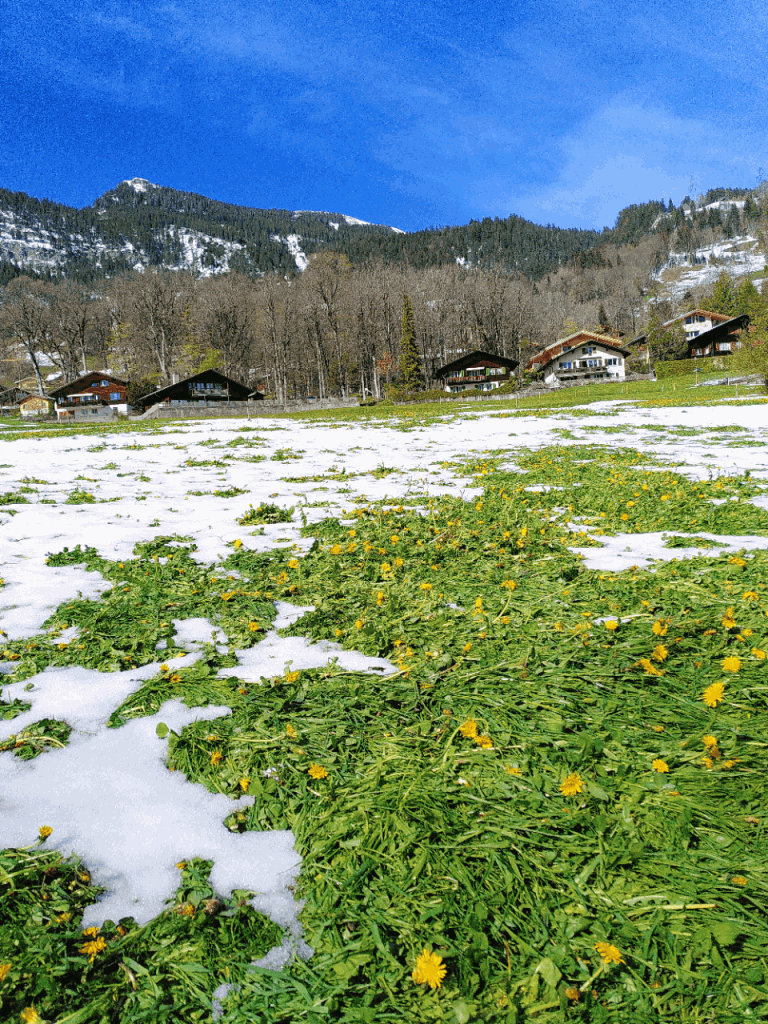 Kälteschock